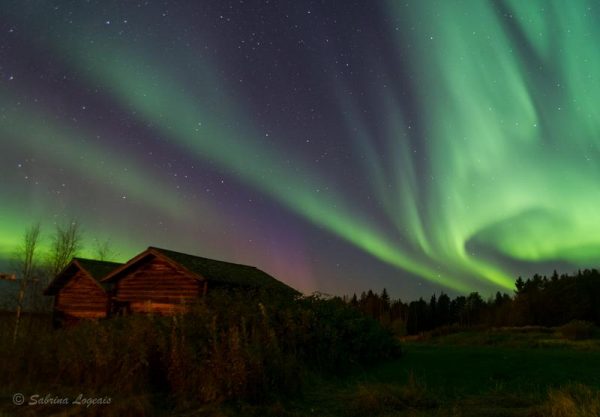 Aurora Taiga Tour